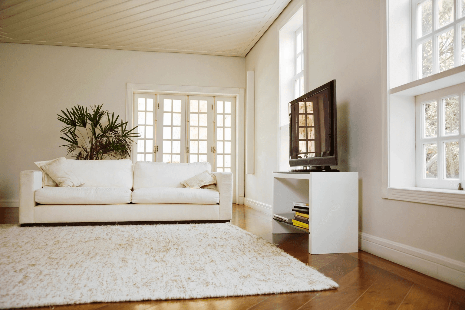 Carpet cleaning in Houston Heights, TX