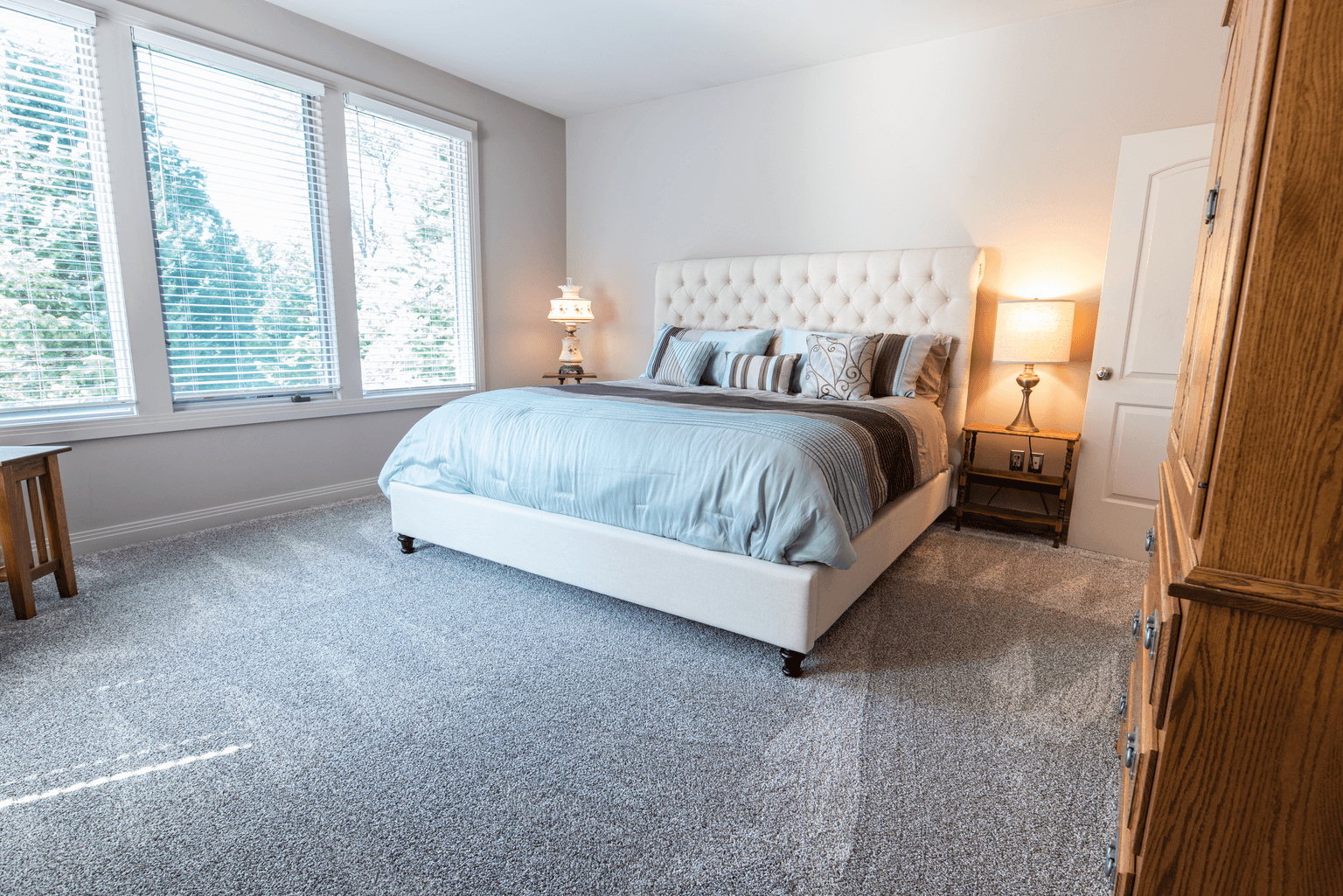 Carpet cleaning in Houston, TX