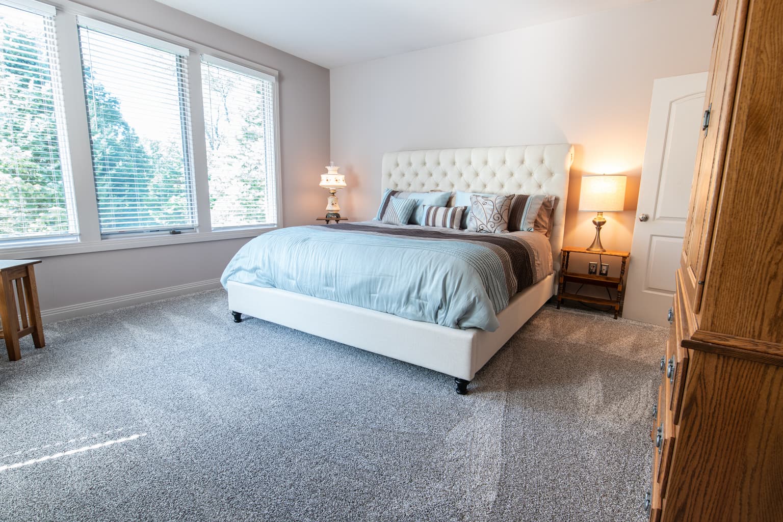 Carpet cleaning in Meyerland/Braeswood, TX