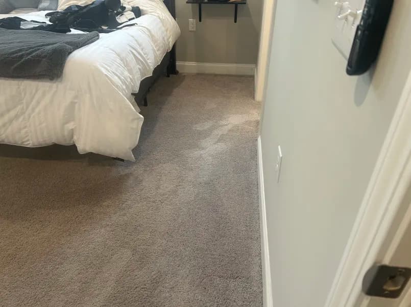 Carpet Cleaning in Houston: How Cleaner Floors Make the Whole House Feel Fresher