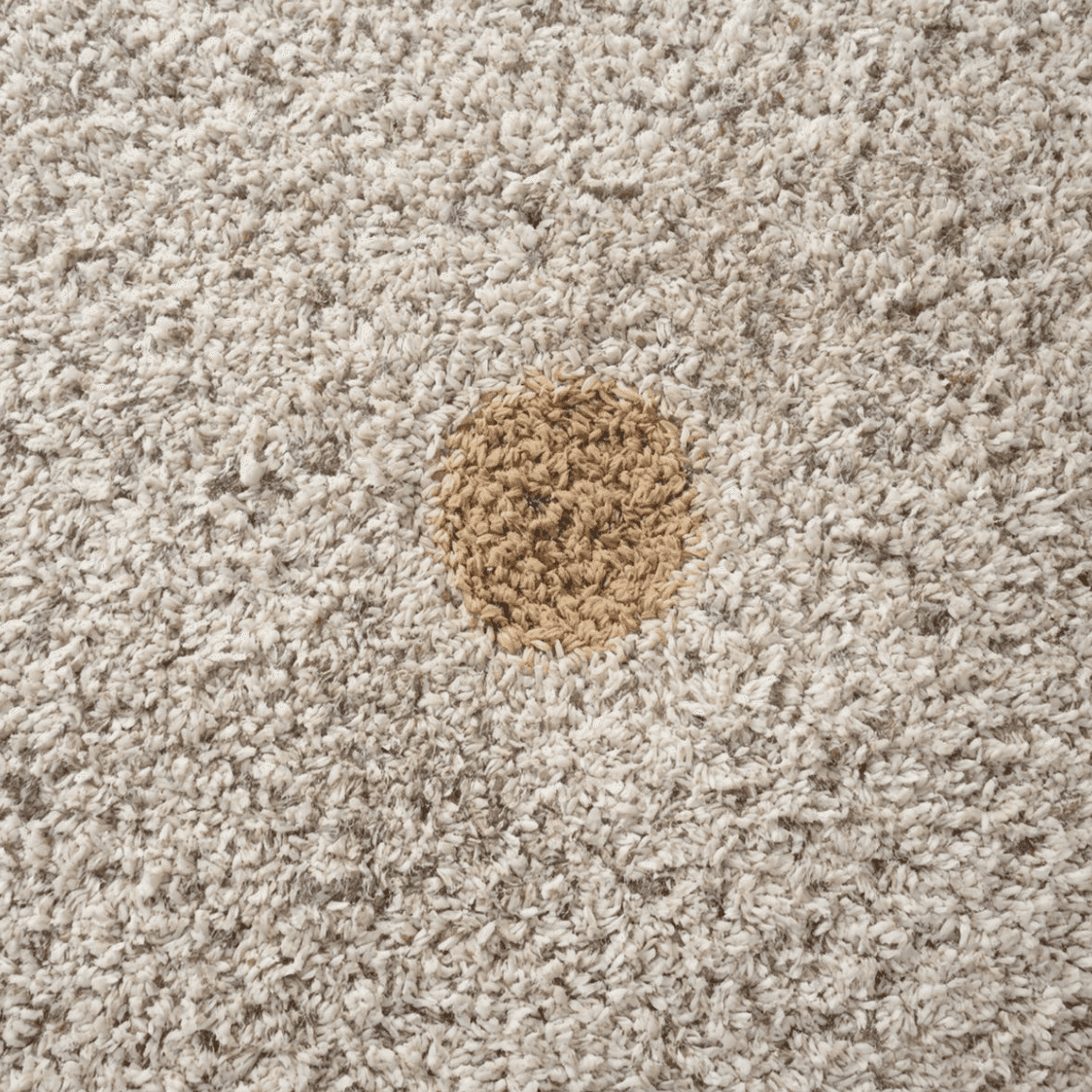 Why Your Carpet Smells Worse After DIY Cleaning