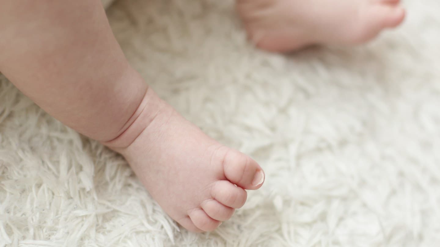 Baby's bare feet resting on freshly cleaned, soft carpet