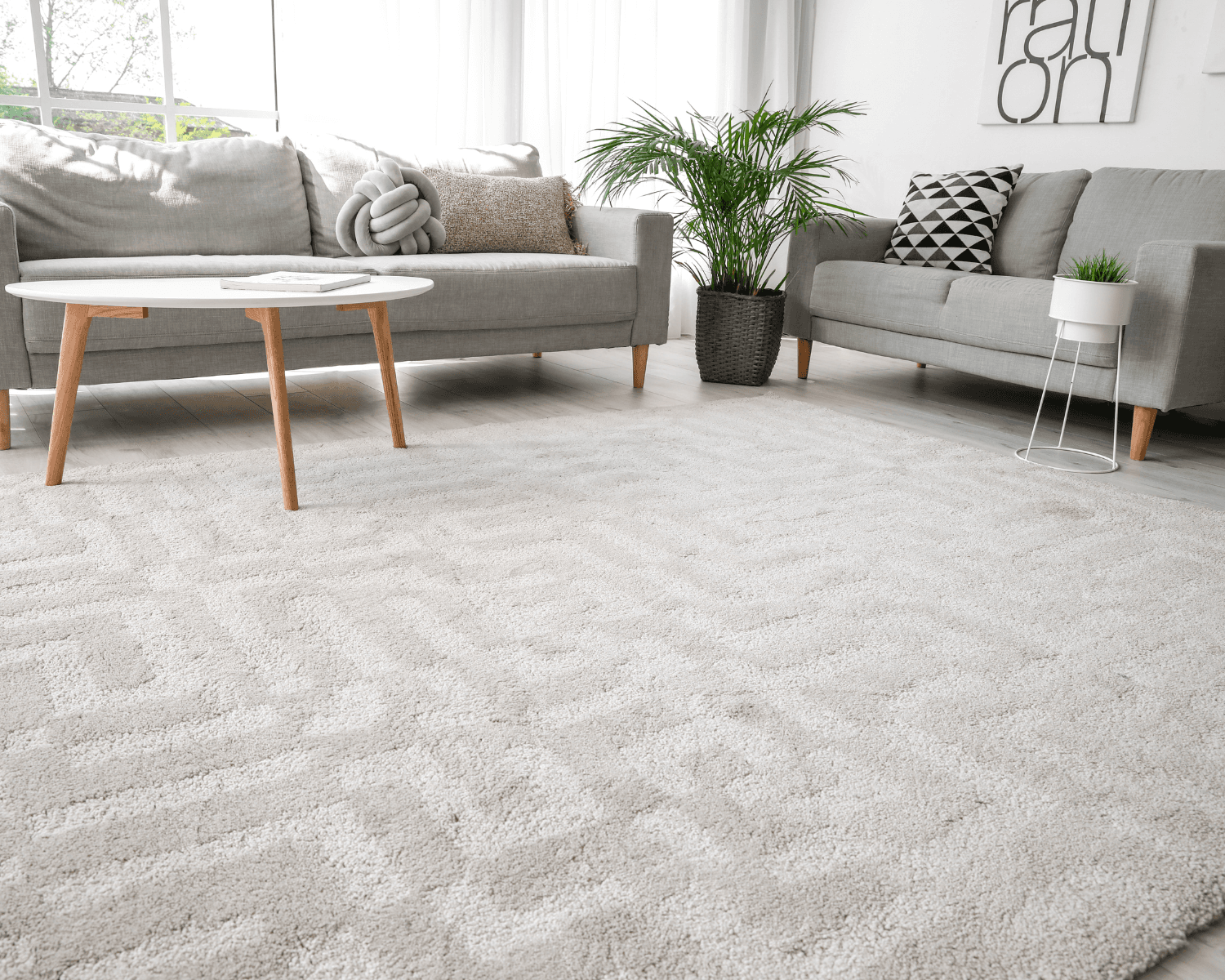 Area Rug Cleaning in Houston, TX
