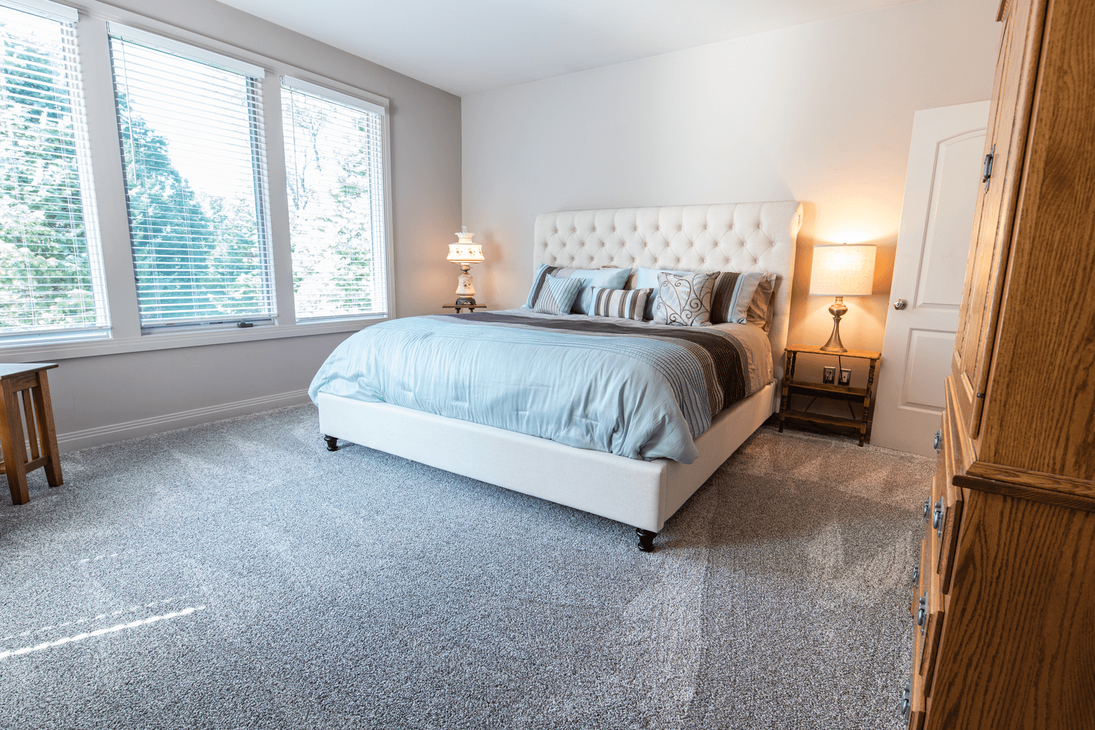 Carpet Cleaning in Houston, TX